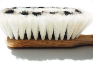 brosse-poils-chevre