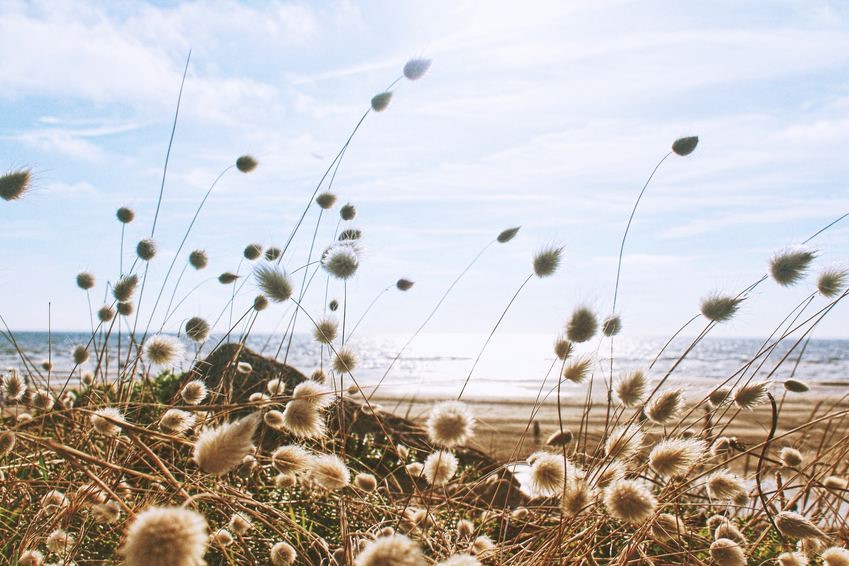lacher-prise-nature