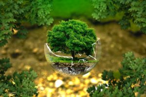 eco-responsable