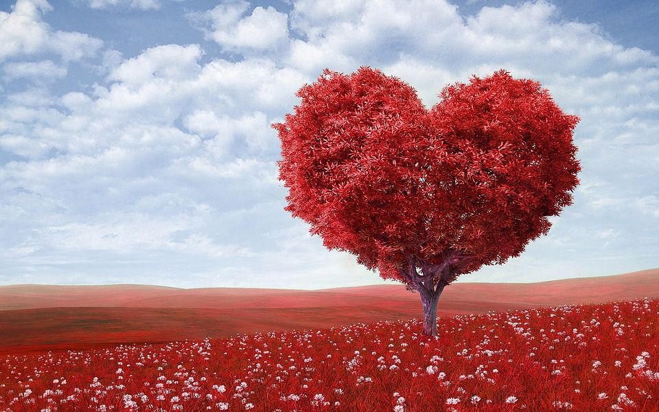 amour-confiance